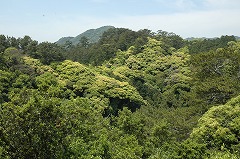 下田公園・遠景