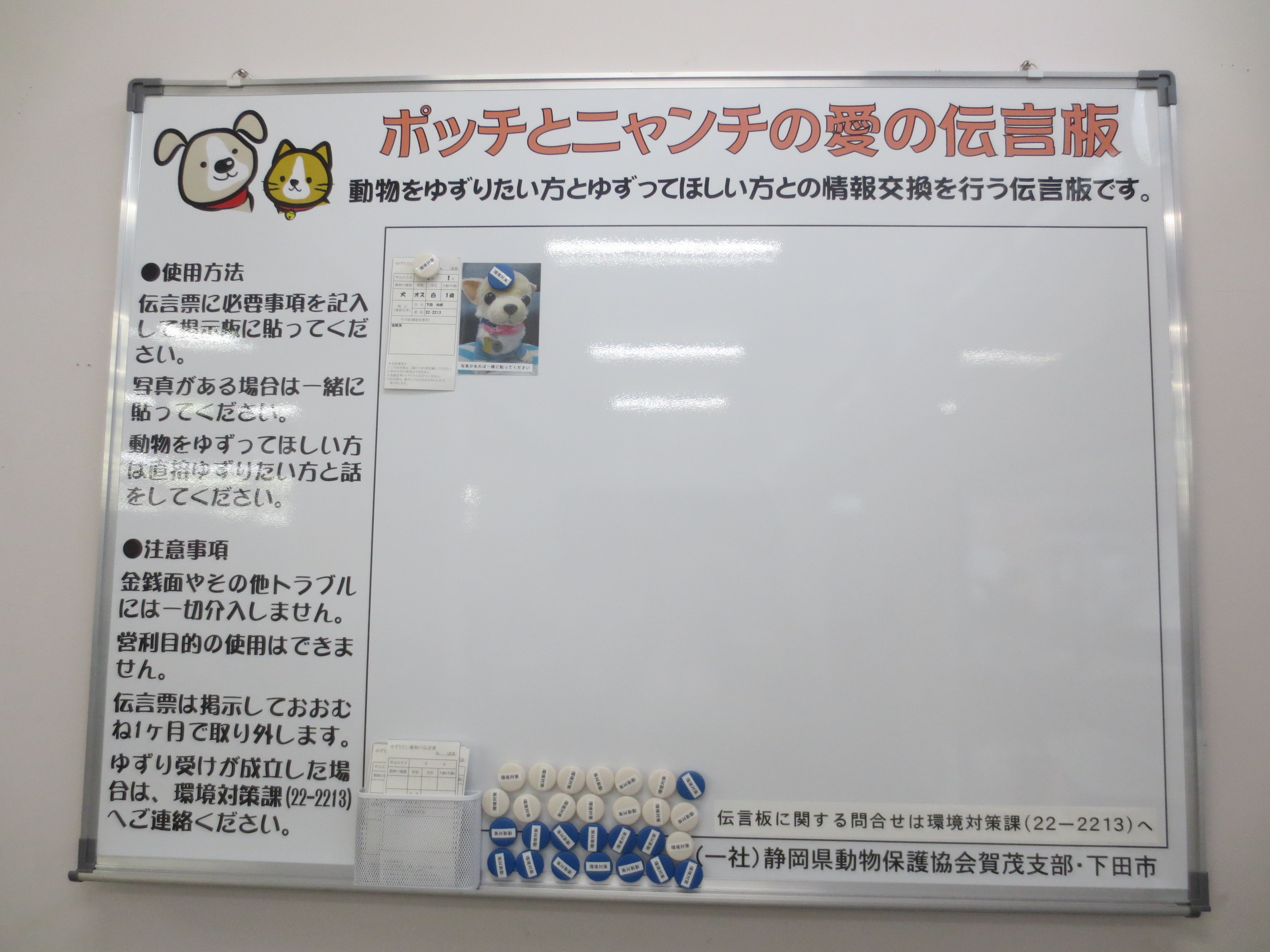 犬・猫をゆずりたい方、ゆずってほしい方「ポッチとニャンチの愛の 