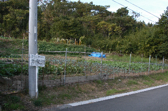 金山古代製鉄遺跡