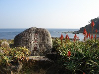 白浜・アロエの里