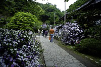 香りの花まつり