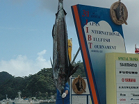 国際カジキ釣り大会
