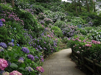 下田公園