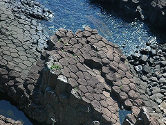 静岡県指定文化財・柱状節理