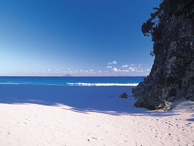 吉佐美大浜海水浴場