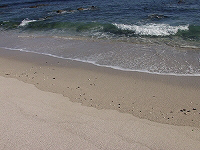 白浜中央海水浴場