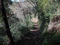 大平山遊歩道