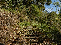 大平山遊歩道