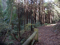 大平山遊歩道