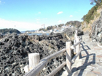 須崎遊歩道