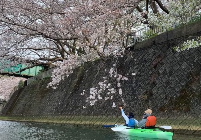 お花見カヤック お花見カヤック