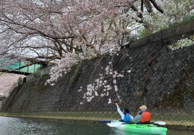 お花見カヤック