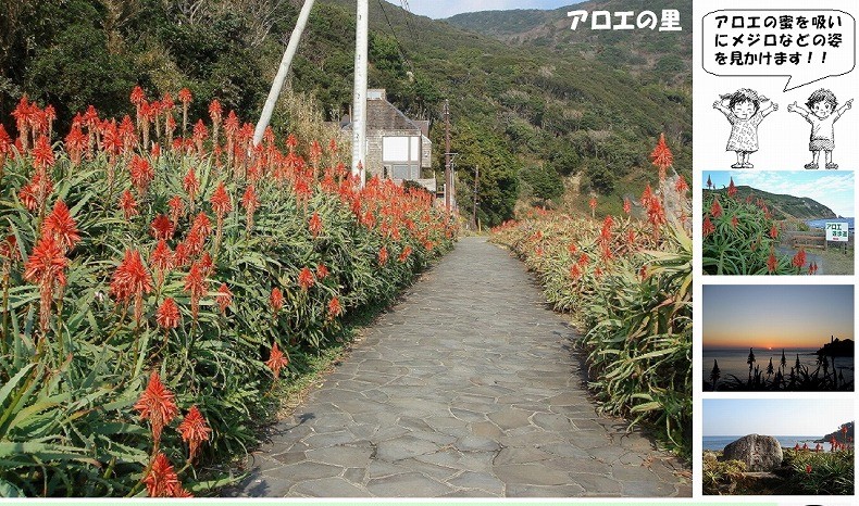 まち遺産（アロエの里）