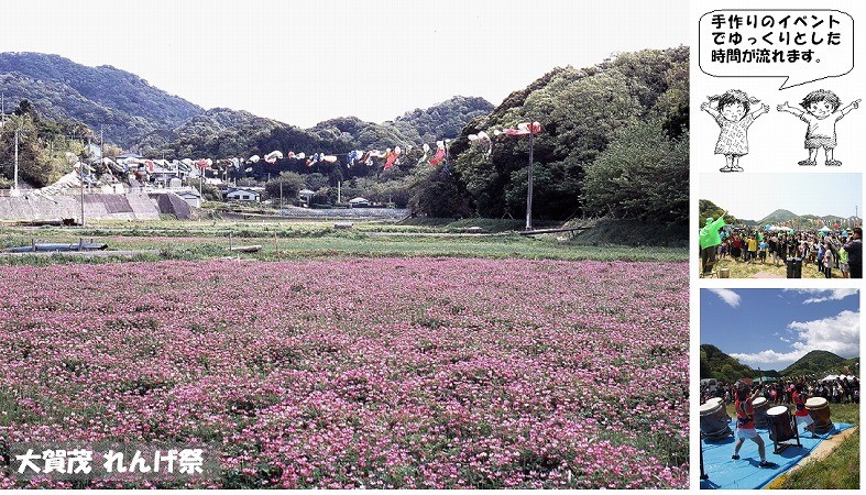 まち遺産（大賀茂れんげ祭り）