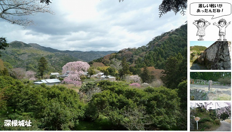 まち遺産（深根城址）