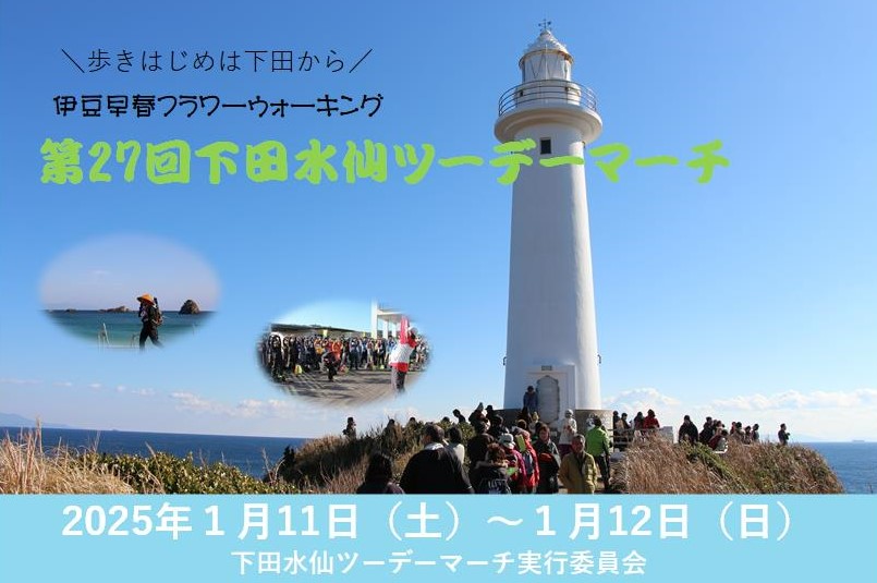トップ