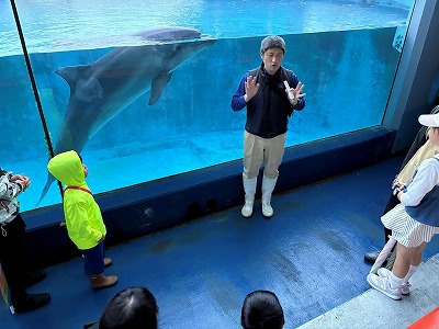㉔夜の水族館写真 ㉔夜の水族館写真