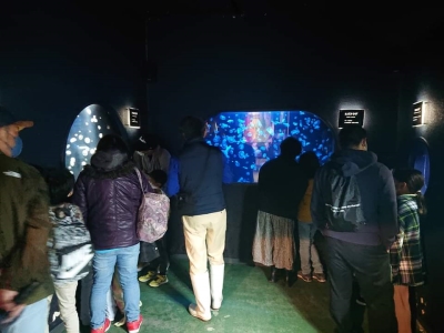 夜の水族館探検② 夜の水族館探検②
