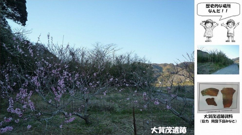 大賀茂遺跡30-08-30