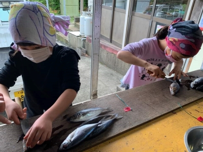 干物づくり 干物づくり