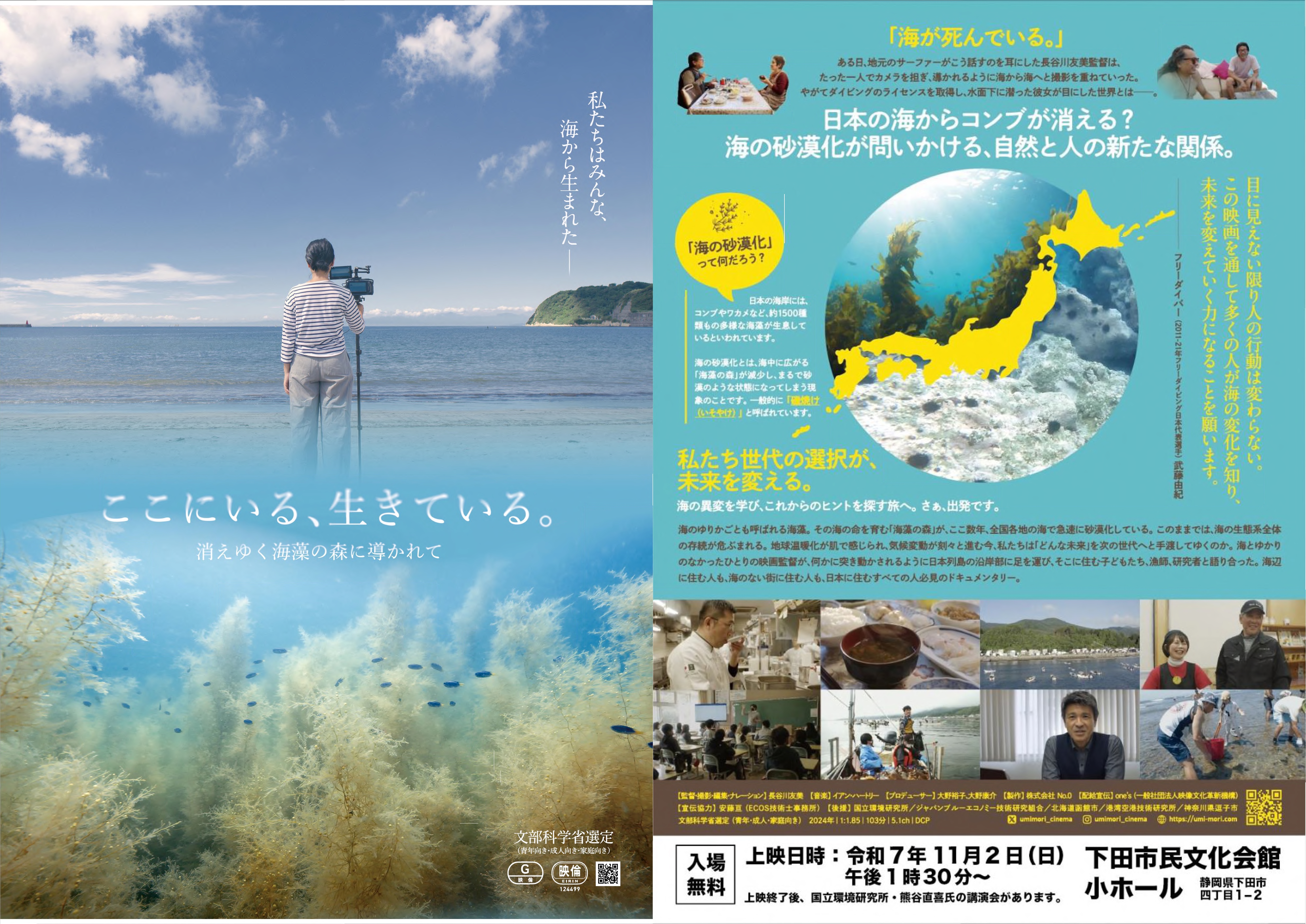 映画フライヤー 映画フライヤー