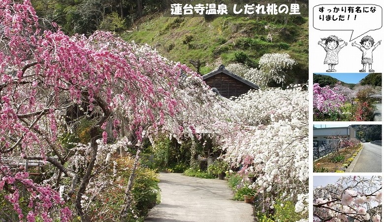 蓮台寺温泉しだれ桃の里30-09-01